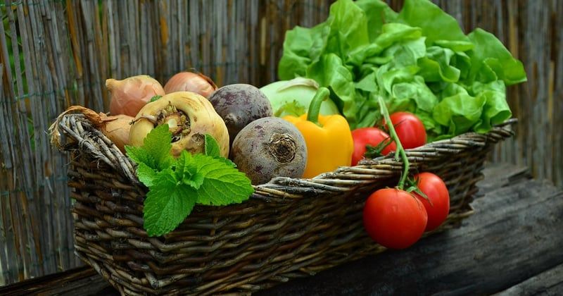 Salade de pâtes froide aux légumes croquants : la recette fraîche et facile